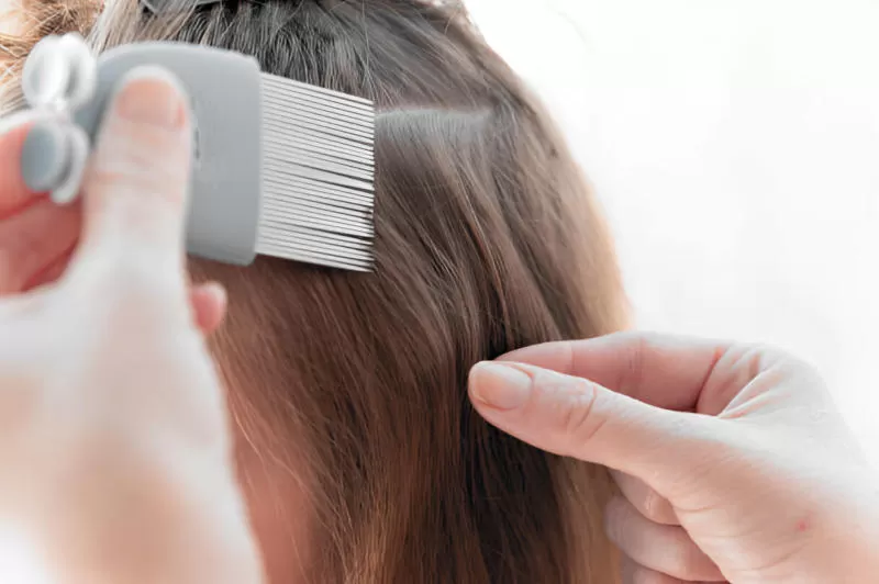 Cómo acabar con los piojos este curso escolar 1 Cómo acabar con los piojos este curso escolar