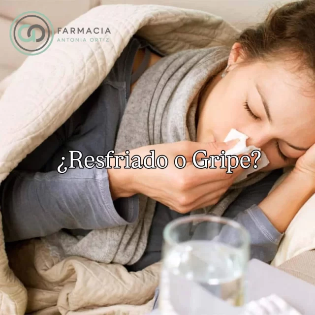 🤧 ¿Gripe o resfriado? Aprende a diferenciarlos 🤒
Aunque pueden parecer lo mismo, no son iguales:🔹 Resfriado común
• Inicio progresivo
• Congestión nasal y estornudos
• Dolor de garganta leve
• Fiebre poco frecuente
• Permite seguir con la rutina diaria🔹 Gripe
• Aparición brusca
• Fiebre alta
• Dolor muscular intenso y cansancio extremo
• Dolor de cabeza
• Necesita reposo y mayor control👉 Escuchar a tu cuerpo es clave.
Ante fiebre alta persistente, empeoramiento de síntomas o personas de riesgo, consulta con tu médico.
📍 En la farmacia Antonia Ortiz te asesoramos para aliviar los síntomas y cuidarte este invierno.#Gripe #Resfriado #SaludInvierno #ConsejosDeFarmacia #Prevención #TuFarmaciaTeCuida
