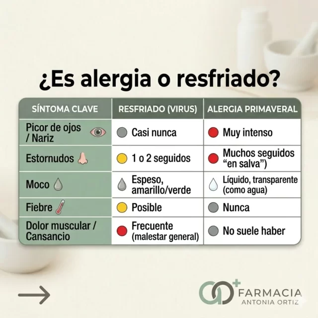 ​¿No sueltas el pañuelo y tienes dudas? 🤧 

Comparamos los síntomas para que identifiques si sufres un resfriado común (virus) o alergia primaveral (polen). 

👀 Mira las tablas y sal de dudas.
​¿Te identificas más con la alergia? ¡Visita nuestra farmacia! 🏥 Te ayudamos a elegir el mejor tratamiento para respirar tranquilo.

​#DiferenciaAlergiaResfriado #Salud #Farmacia #Alergia #Polen